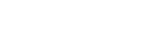 Fortaleza logo 1