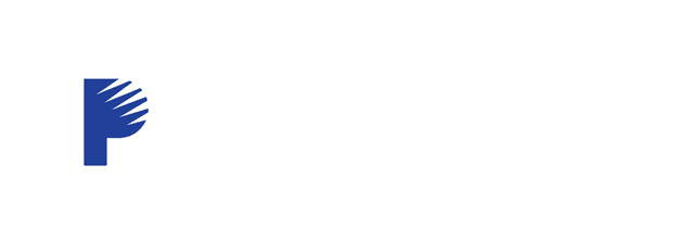 Protek logo 1