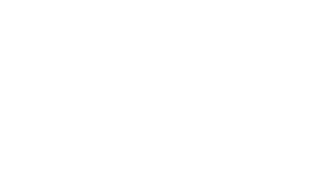 Stornia Consulting logo 1